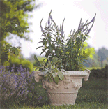 CAD Drawings Longshadow® Planters & Garden Ornaments, Classic Garden Ornaments, Ltd.® Birmingham Planter